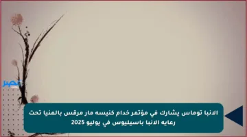 الأنبا توماس يشارك في مؤتمر خدام كنيسة مار مرقس بالمنيا تحت رعاية الأنبا باسيليوس في يوليو 2025